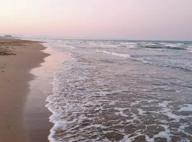 And рool Torrevieja