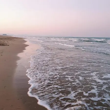 And рool Torrevieja